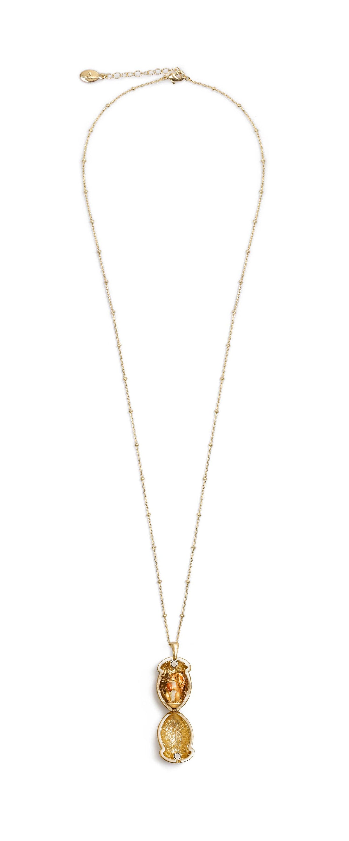 Eekhoorn & Eikel Medaillon Ketting - Bill Skinner
