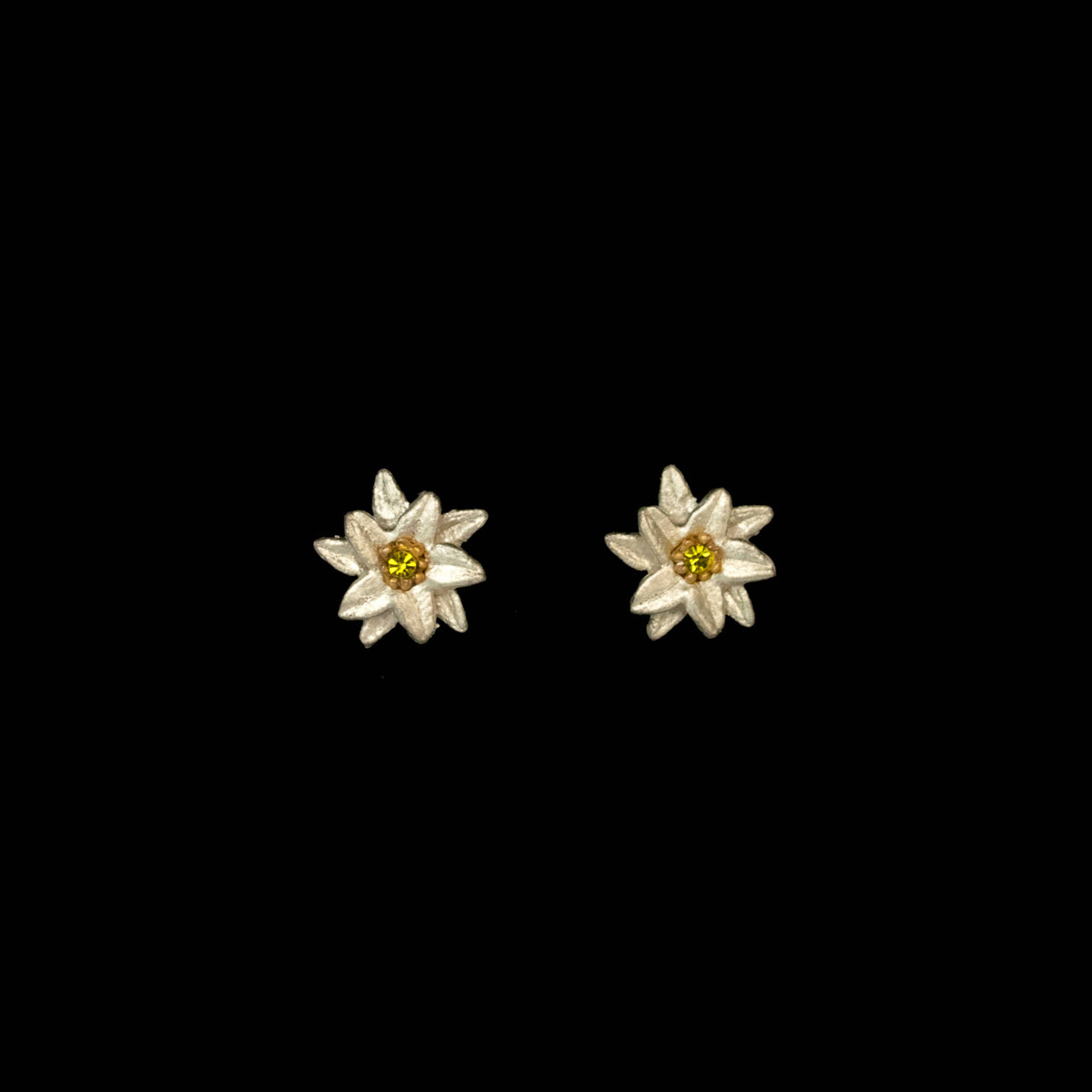 Edelweiss oorstekers – Michael Michaud