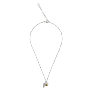 Eikel hanger - Bill Skinner