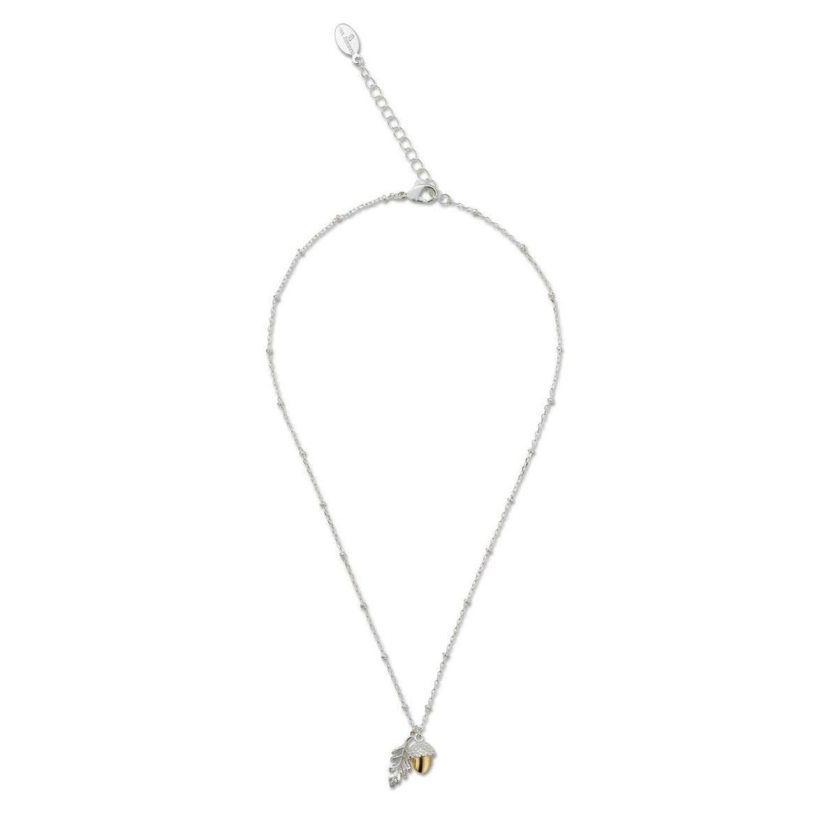 Eikel hanger - Bill Skinner