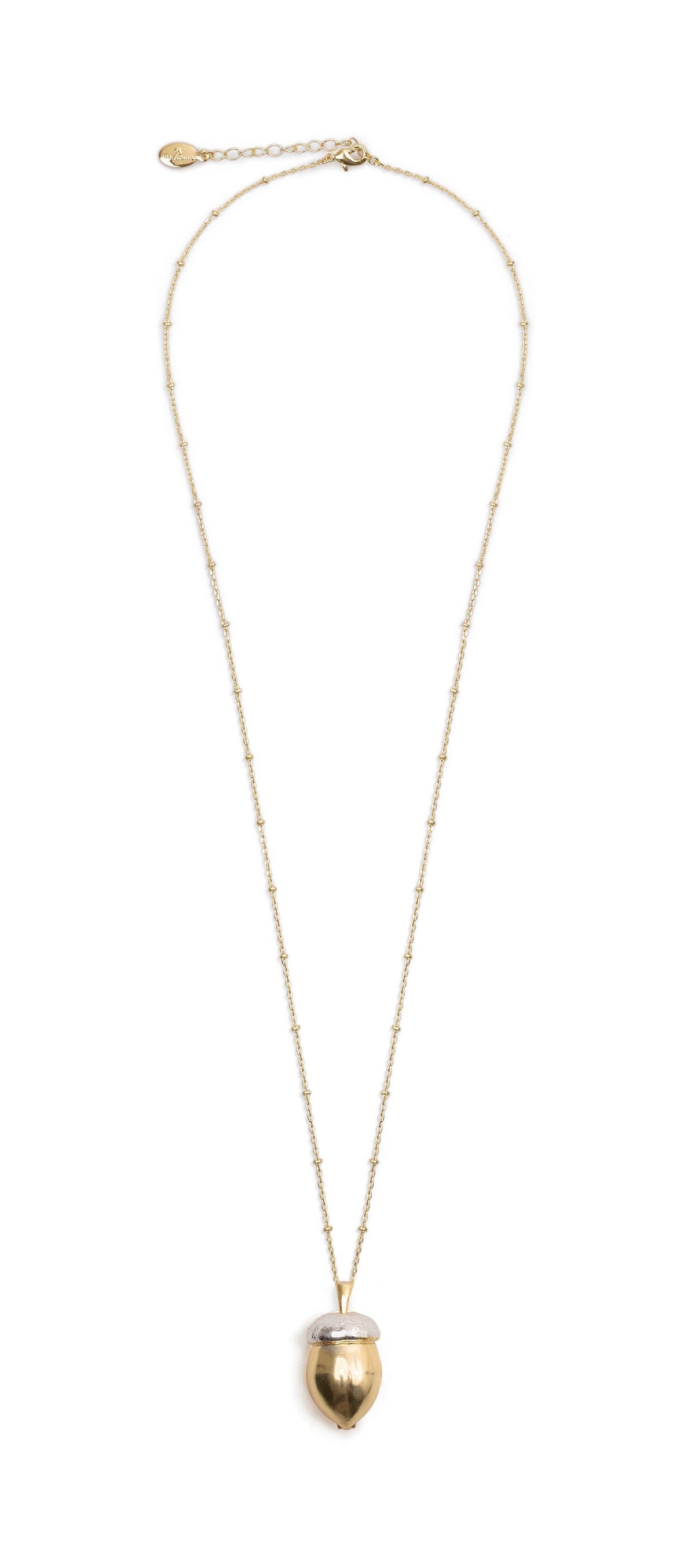 Eekhoorn & Eikel Medaillon Ketting - Bill Skinner
