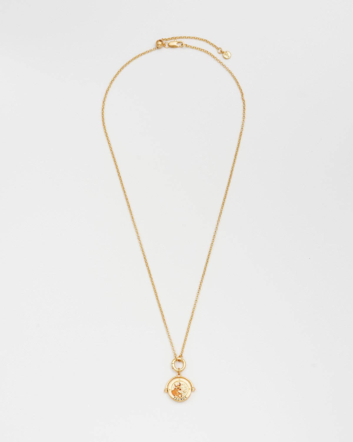 Stier sterrenbeeldketting – Fable England