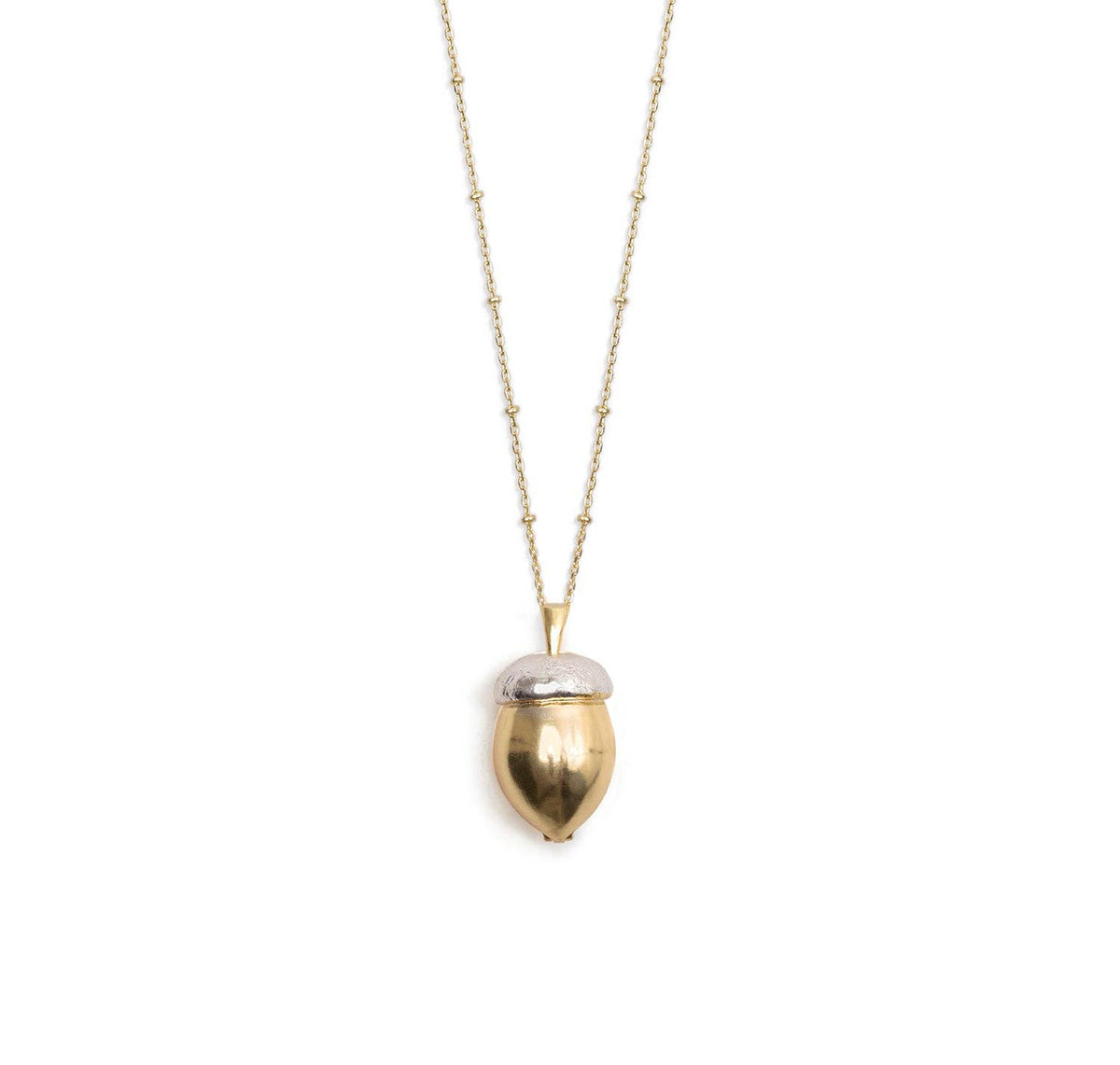 Eekhoorn & Eikel Medaillon Ketting - Bill Skinner