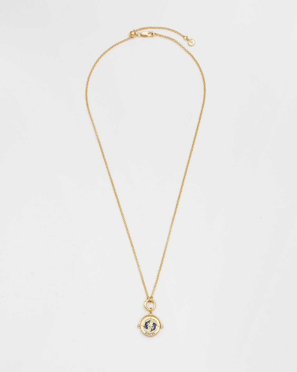 Vissen sterrenbeeldketting - Fable England