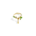 Erwtjes Ring - Bill Skinner