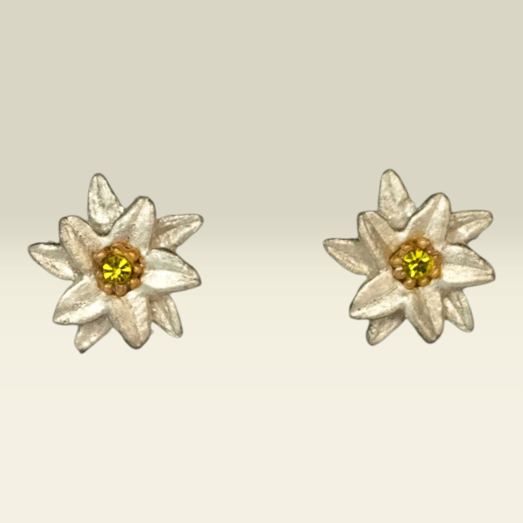 Edelweiss oorstekers – Michael Michaud