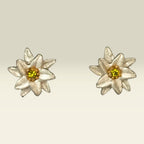 Edelweiss oorstekers – Michael Michaud